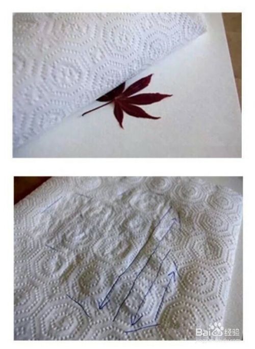 漂亮的植物拓印手工制作方法
