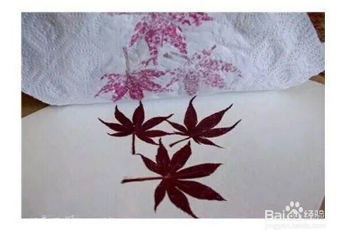 漂亮的植物拓印手工制作方法