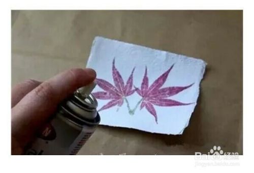漂亮的植物拓印手工制作方法