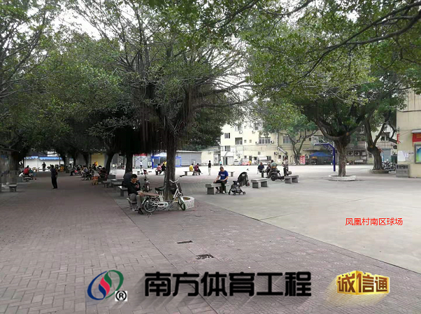 广东省广州市花都区花东镇凤凰村委会花东镇凤凰村民委员会-篮球场南区公园匹克球场